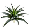 10 inches Agave Plant  Green Gray