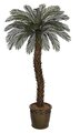 Outdoor Custom Made Select from 4 feet tall to 12 feet Tall Cycas Palm Tree