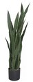 36" UV Outdoor Potted Sanseveria Plant | Dark Green