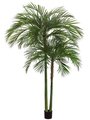 10 Foot Areca Palm Tree  with 1692 Leaves in Pot Green
