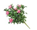 18 inches Outdoor Azalea Bushes 7 Flowers 18 Buds