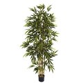 6 feet Bamboo Tree