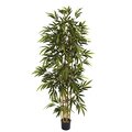 6 feet Bamboo Tree