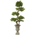 6’ Pittosporum bonsai Artificial Tree with Urn UV Resistant (Indoor/Outdoor)