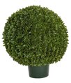 24" Japanese Outdoor Boxwood Ball Topiary