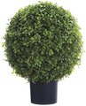 22" Outdoor Boxwood Ball Topiary