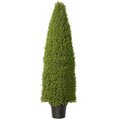 60" Outdoor Boxwood cone Topiary