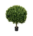 32 Inches Wide X 38 Inches Tall  POTTED TOPIARY BOXWOOD BALL  Indoor/Outdoor