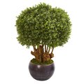 38” Outdoor Boxwood Artificial Topiary Tree In Decorative Bowl (Indoor/Outdoor)