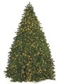 20' Commercial Pine Christmas Tree - 8,450 Multi - Colored 5mm LED Lights
