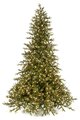 12 Foot  Scottish Fir Christmas Tree - Full Size - 1,800 Warm White LED Lights