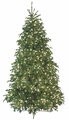 PE/PVC Georgia Fir Tree with LED Rice Lights | 7.5', 9', 12' or 15' Tall