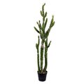 56 inches Green Potted Cactus Natural Touch