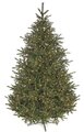 9' Elizabeth Pine Christmas Tree - Full Size - 1,100 Warm White LED Lights
