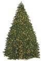 Commercial Pine Christmas Tree - 22,142 Tips - 8,100 Warm White LED Lights