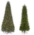 Earthflora's 7.5, 9, 12, And 15 Foot, Allegheny Fir Pencil Trees With Led Lights