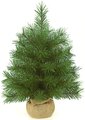 18 inches Dwarf Pine Christmas Tree - 42 Green Tips - 12 inches Width - Brown Burlap Base