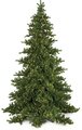 9 feet Nikko Fir Christmas Tree - Full Size - 4,319 Green Tips - Wire Stand