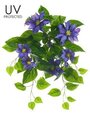20.5 inches UV Outdoor  Clematis Bush Purple