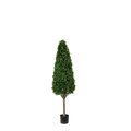 5 feet Outdoor NEW BOXWOOD TOWER