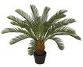 31" Cycas Palm Cluster Indoor/Outdoor