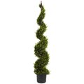 5' Outdoor Cypress Spiral Tree