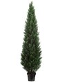 84 inches Outdoor Cedar/Cypress Topiary in Plastic Pot  Green