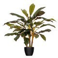 30" Natural Real Touch Dracaena in pot