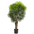 52” Washingtonia Fan Palm Tree Natural Trunk
