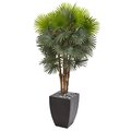 Artificial  59” Washingtonia  Fan Palm Tree in Black Planter