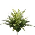 19 inches Aglaonema/Fern/Grass Mixed Bush x7 Green Variegated
