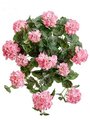 22" Outdoor UV  Protected Geranium Hanging Bush Pink