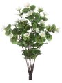 11 inches Mini Geranium Bush   White