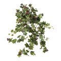 24 inches Grape Ivy Vine with Grapes