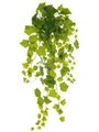 38 Inches Grape Ivy Large Leaf Bush with 159 Leaves Green