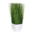 16.5 inches Green Potted Grass