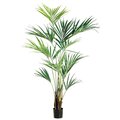 93" Kentia Palm Tree in Pot  Light Green