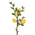 20 inches Lemon Branch -  Lemons - Green/Yellow