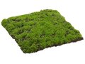 12"Wx12"L Square Grass Moss Sheet  Green