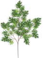38 inches Pin Oak Branch - 55 Leaves - Green - FIRE RETARDANT