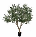 8 Foot Fire Rated Olive Tree 60" Wide