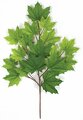33" Sugar Maple Branch - 18 Leaves - Light Green - FIRE RETARDANT