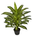 30 INCH NATURAL TOUCH DRACAENA PLANT