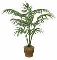 8' Paradise Palm - Synthetic Trunks - 11 Fronds - Green - Bare Trunk