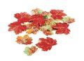 Silver Maple Bag of Leaves -  Multi Fall