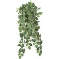 EF-915 30" Fittonia Hanging Bush x9 w/159 Lvs. & Berry Green (Price is per Dozen Set))