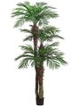 9'+7'+5' Tropical Areca Palm Tree  with 1364 Leaves in Pot