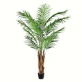 6 feet Potted Areca Palm 567 Leaves