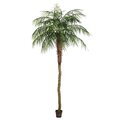 9' Potted Pheonix Palm Tree 1144Lvs