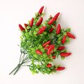 10 inches Chili Pepper Bush